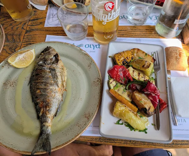 Greek Mediterranean food by the Ionian Sea in Plataria